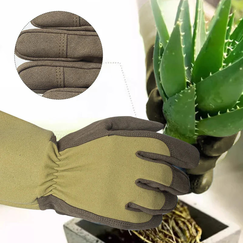 Hand Protection for Pain-Free Handling of Roses - Lamylie