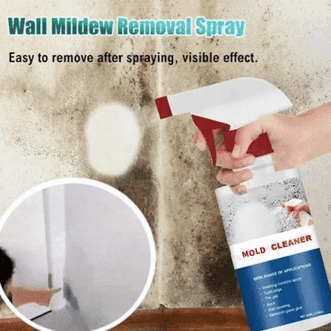 Mold Remover – Finally Free from Hazardous Mold - Lamylie