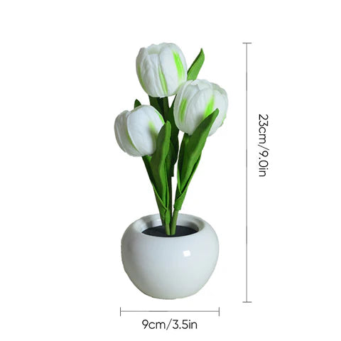 Tulip LED Desk Lamp in Ceramic Vase – Warm Ambient Light - Lamylie