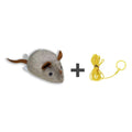 Endless Play Fun for Dogs and Cats - Lamylie