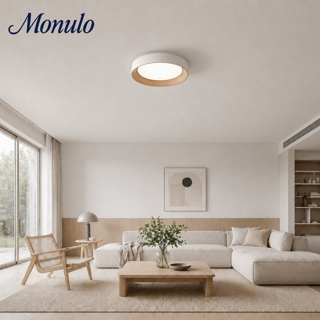 Minimalistische runde flache Deckenlampe Schlafzimmer-Deckenbeleuchtung LED - Lamylie
