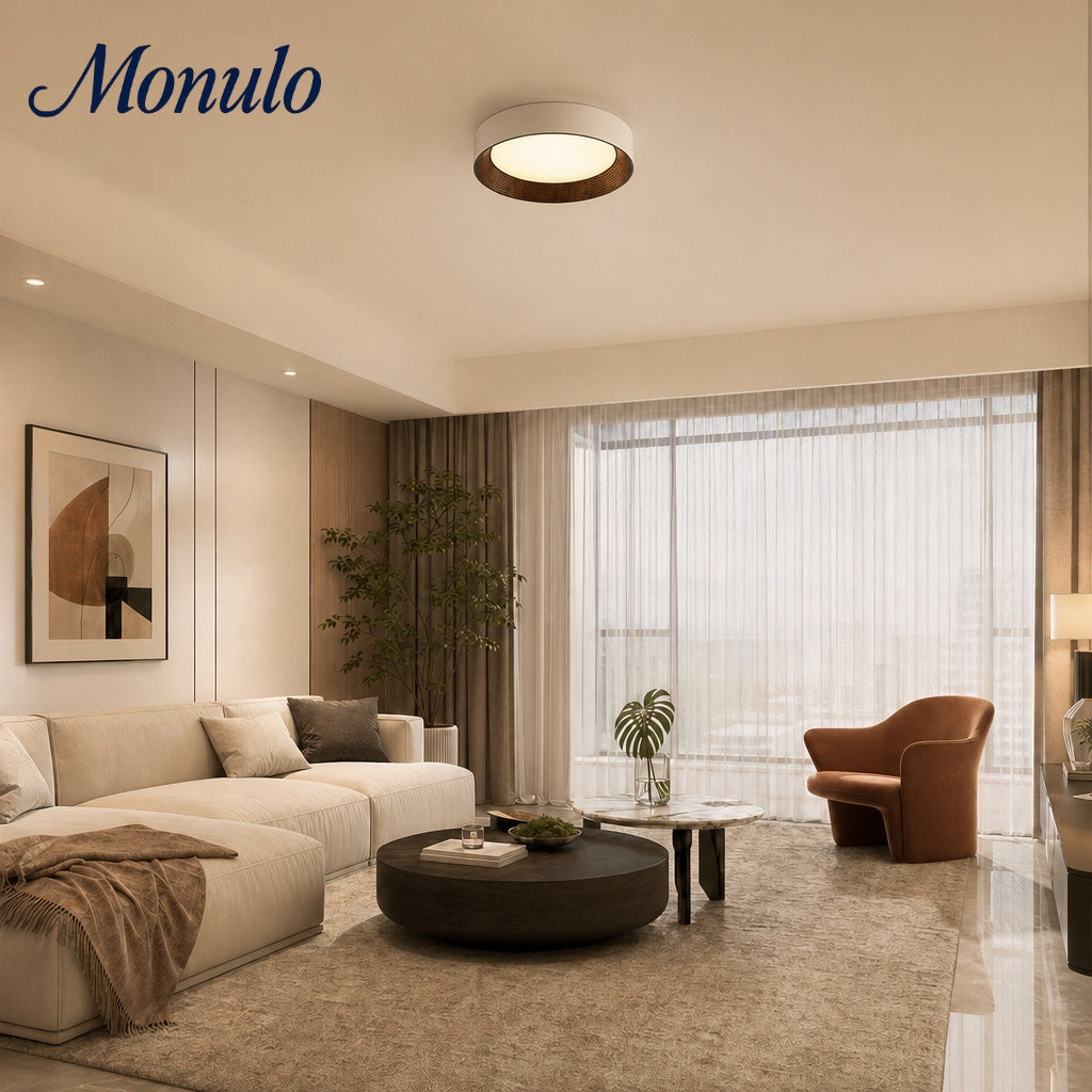 Minimalist Round Low-Profile Ceiling Lamp Bedroom Ceiling Lighting LED - Lamylie