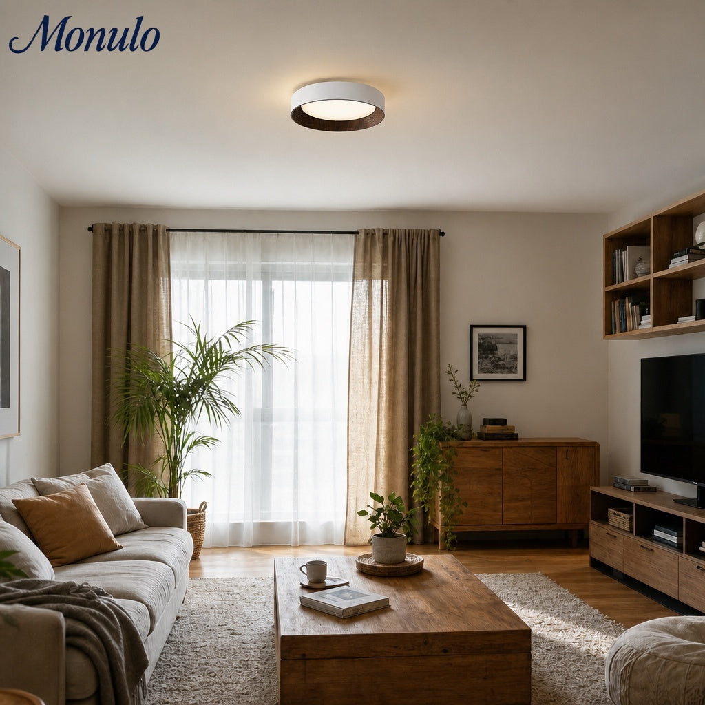 Minimalist Round Low-Profile Ceiling Lamp Bedroom Ceiling Lighting LED - Lamylie