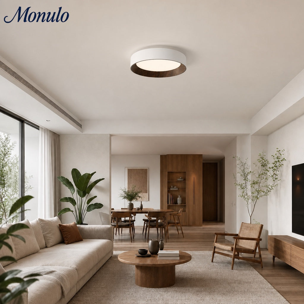 Minimalist Round Low-Profile Ceiling Lamp Bedroom Ceiling Lighting LED - Lamylie