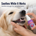 GlideSpray — Elimina subito l’alito cattivo per coccole indimenticabili - Lamylie
