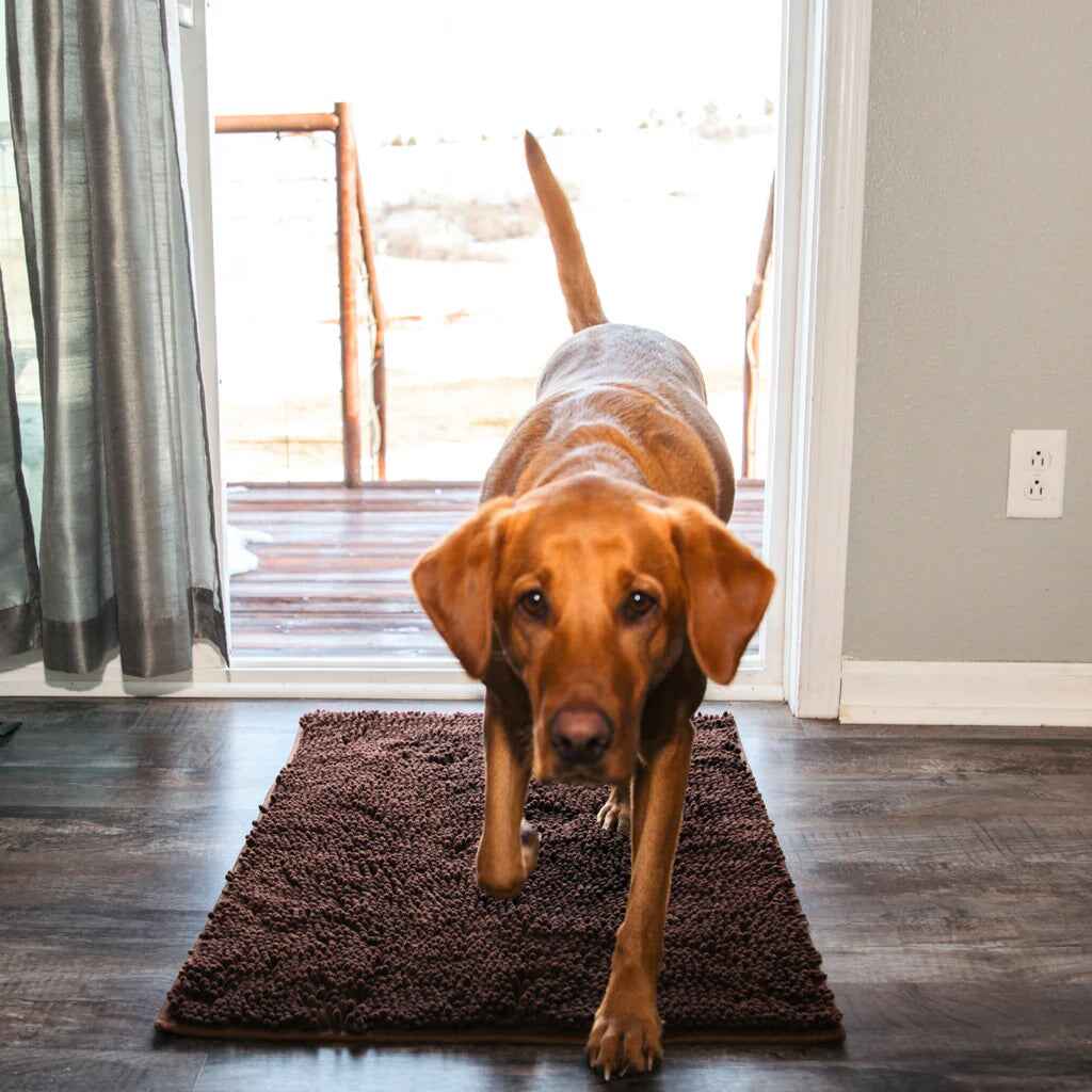 Alfombrilla PawGuard – Mantén tu hogar limpio - Lamylie