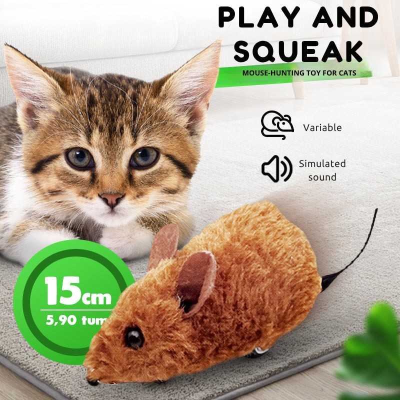 Furrace — Libérez les instincts sauvages de votre chat pour des jeux captivants sans fin - Lamylie
