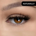 Magnetische Wimpern für perfekte Wimpern in Sekundenschnelle, ganz ohne Kleber – Lamylie