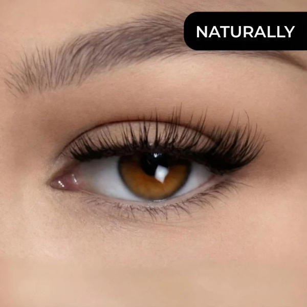 Magnetische Wimpern für perfekte Wimpern in Sekundenschnelle, ganz ohne Kleber – Lamylie