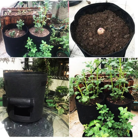 Worek uprawowy | Przepuszczalny materiał nietkany | Klapa do zbiorów z zapięciem na rzep | HarvestBag - Lamylie
