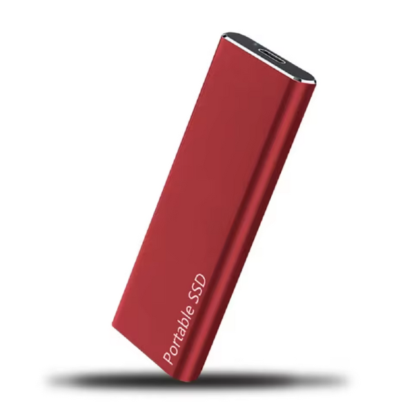 External Storage | Solid State Drive | USB-C Rapid Storage | DataGo - Lamylie
