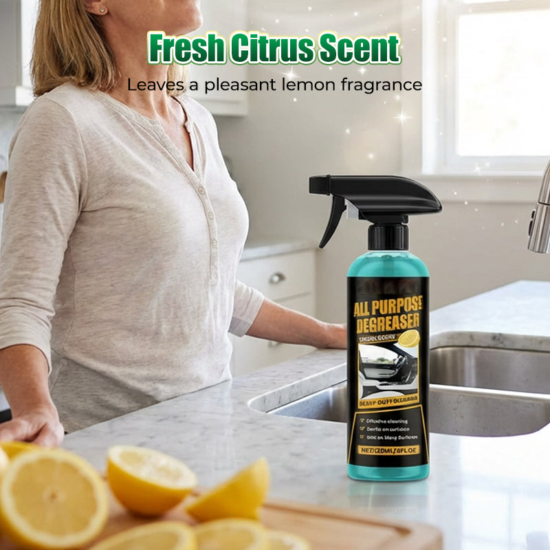 Grease Remover | No Residue | Fast Spray and Wipe | ShineEase - Lamylie