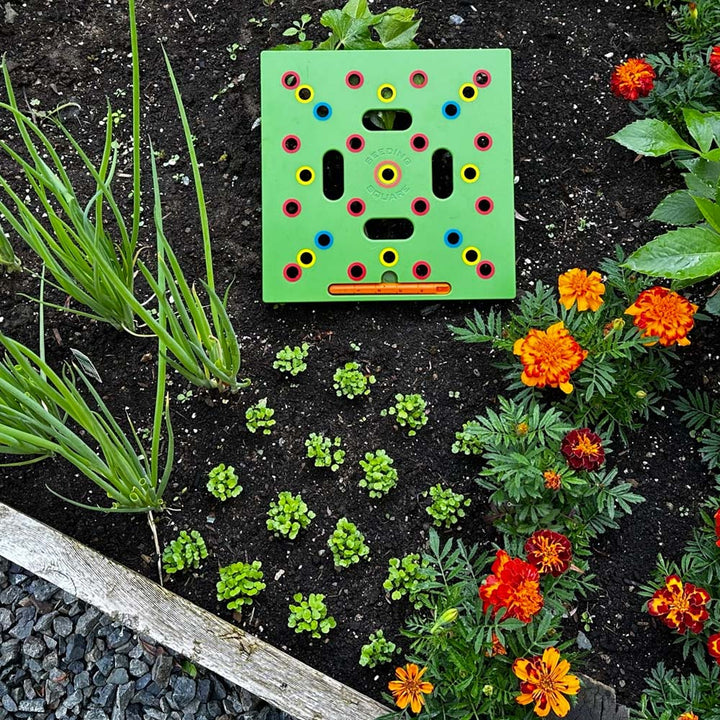 Planteskabelon til køkkenhave | Hjælpemiddel til planteafstand for grøntsager og krydderurter | 30x30 cm haveskabelon med manual – Lamylie