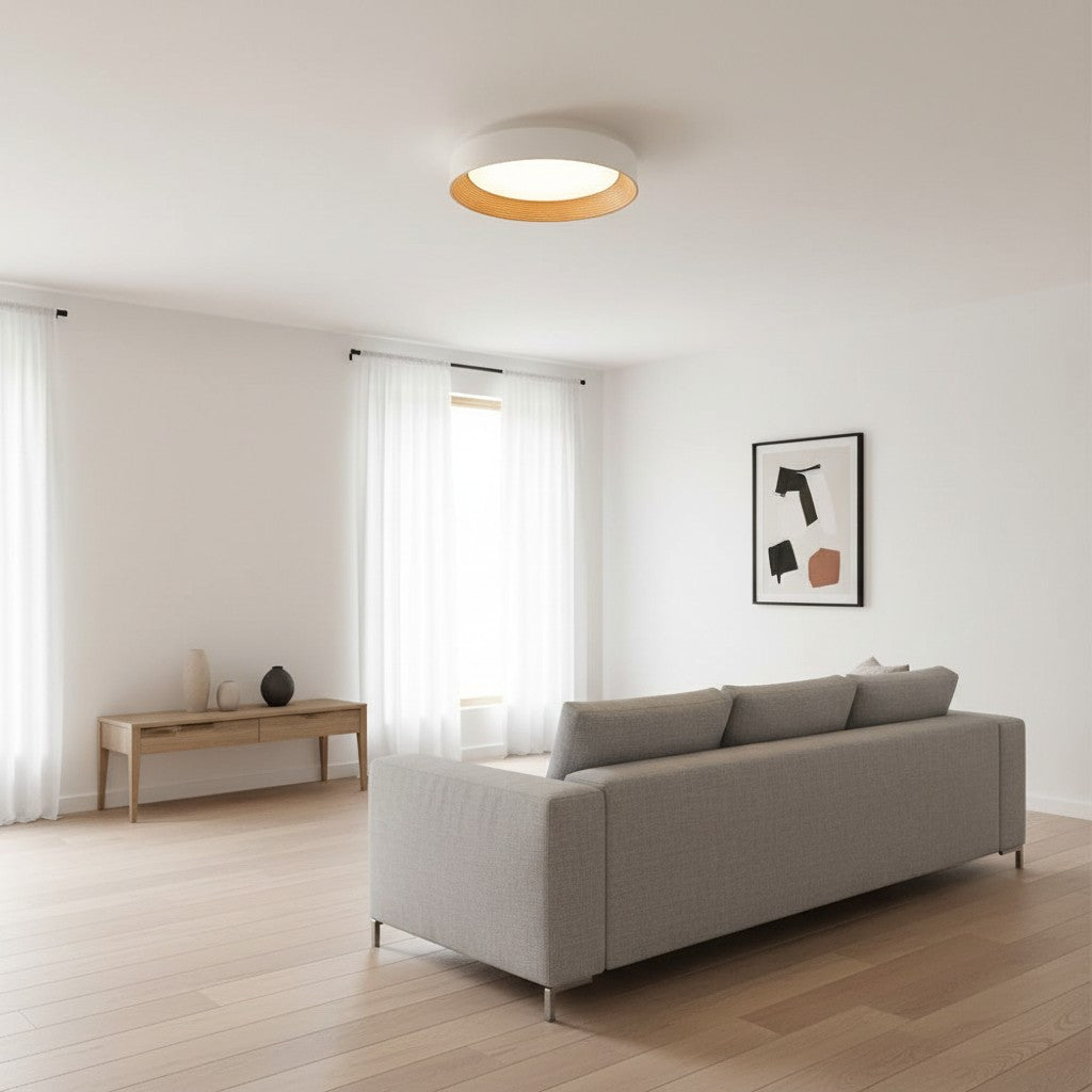 Minimalist Round Low-Profile Ceiling Lamp Bedroom Ceiling Lighting LED - Lamylie