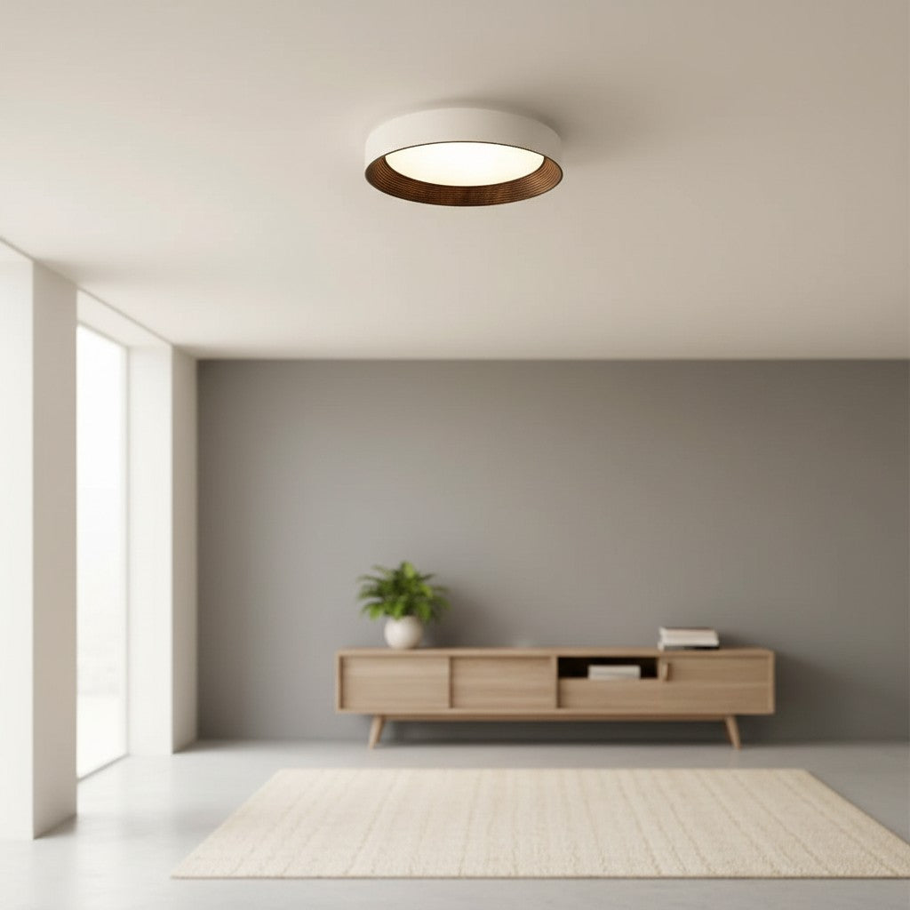 Minimalist Round Low-Profile Ceiling Lamp Bedroom Ceiling Lighting LED - Lamylie