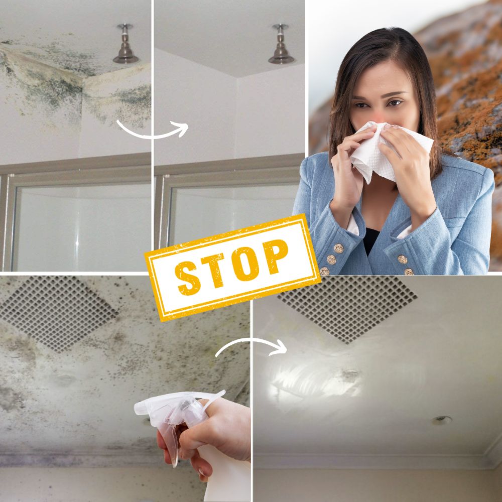 Mold-Free Home Air Quality Solution for Comfortable Breathing - Lamylie