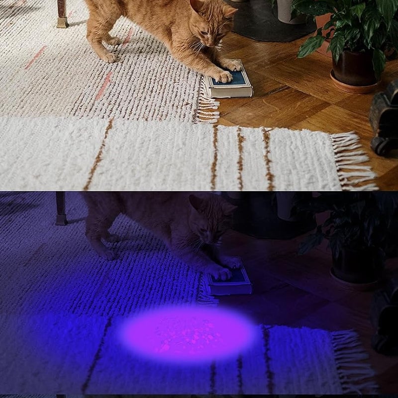 Descubra detalhes ocultos com uma luz UV brilhante - Lamylie