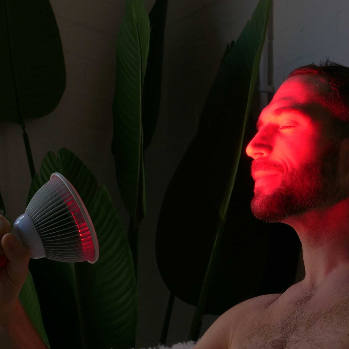 Unidade portátil de terapia de luz vermelha para um tratamento cómodo em casa - Lamylie
