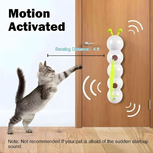 Carnivor — Ignite Your Cat’s Wild Instincts for Non-Stop Play and Sharp Focus - Lamylie