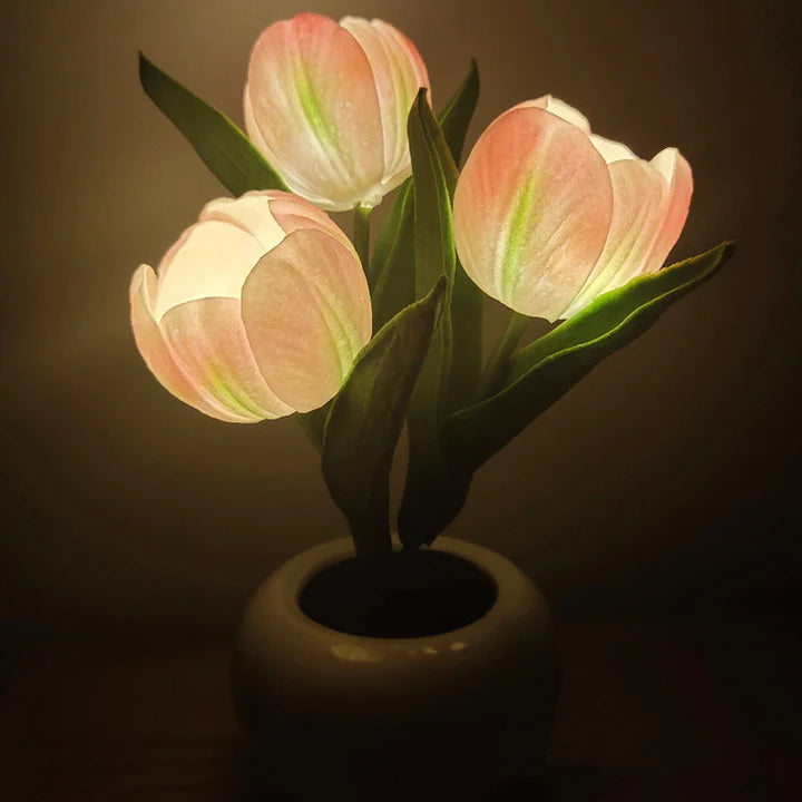 Tulip LED Desk Lamp in Ceramic Vase – Warm Ambient Light - Lamylie