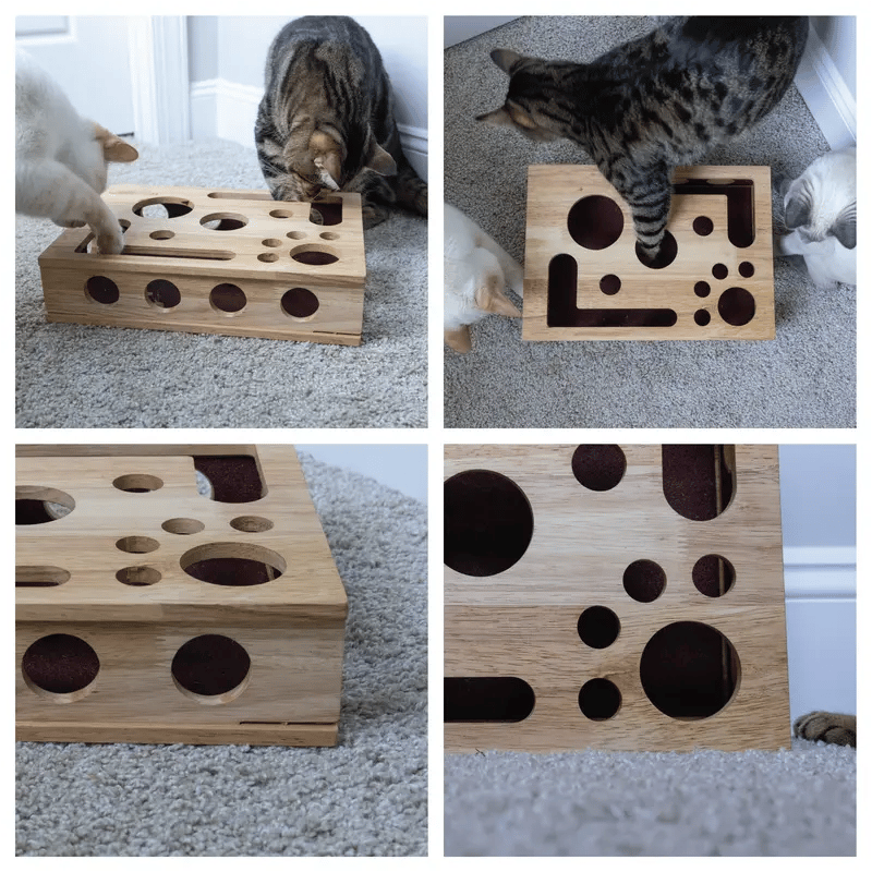 Caja de actividades y rompecabezas para rascar para gatos - Lamylie
