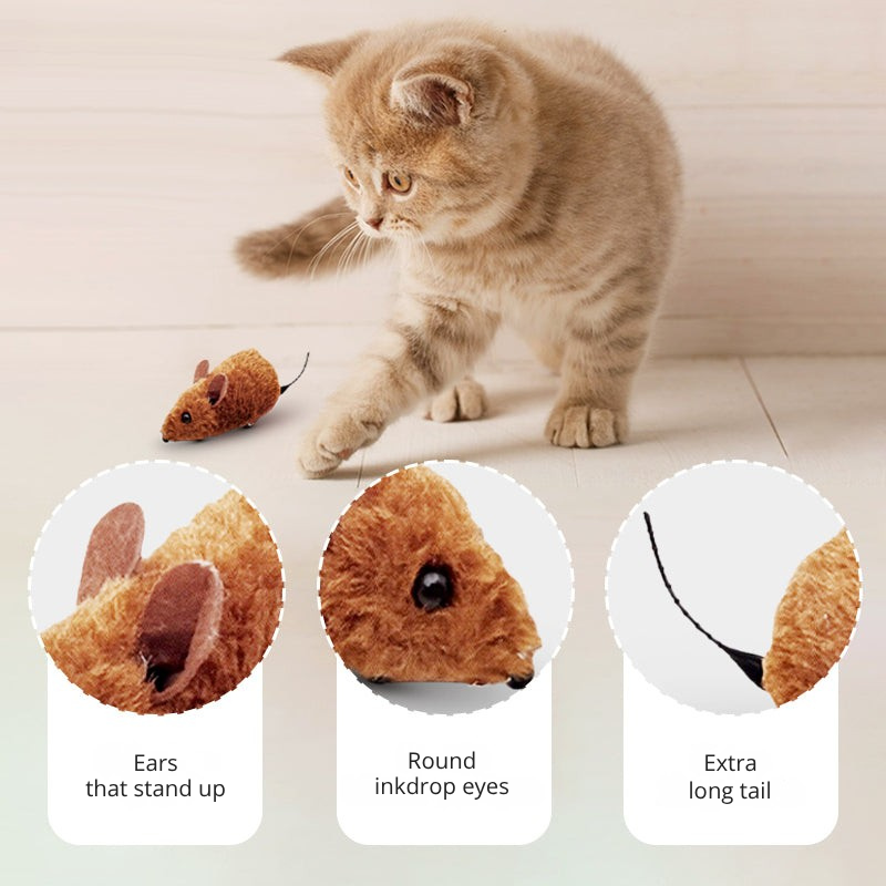 Furrace — Libérez les instincts sauvages de votre chat pour des jeux captivants sans fin - Lamylie