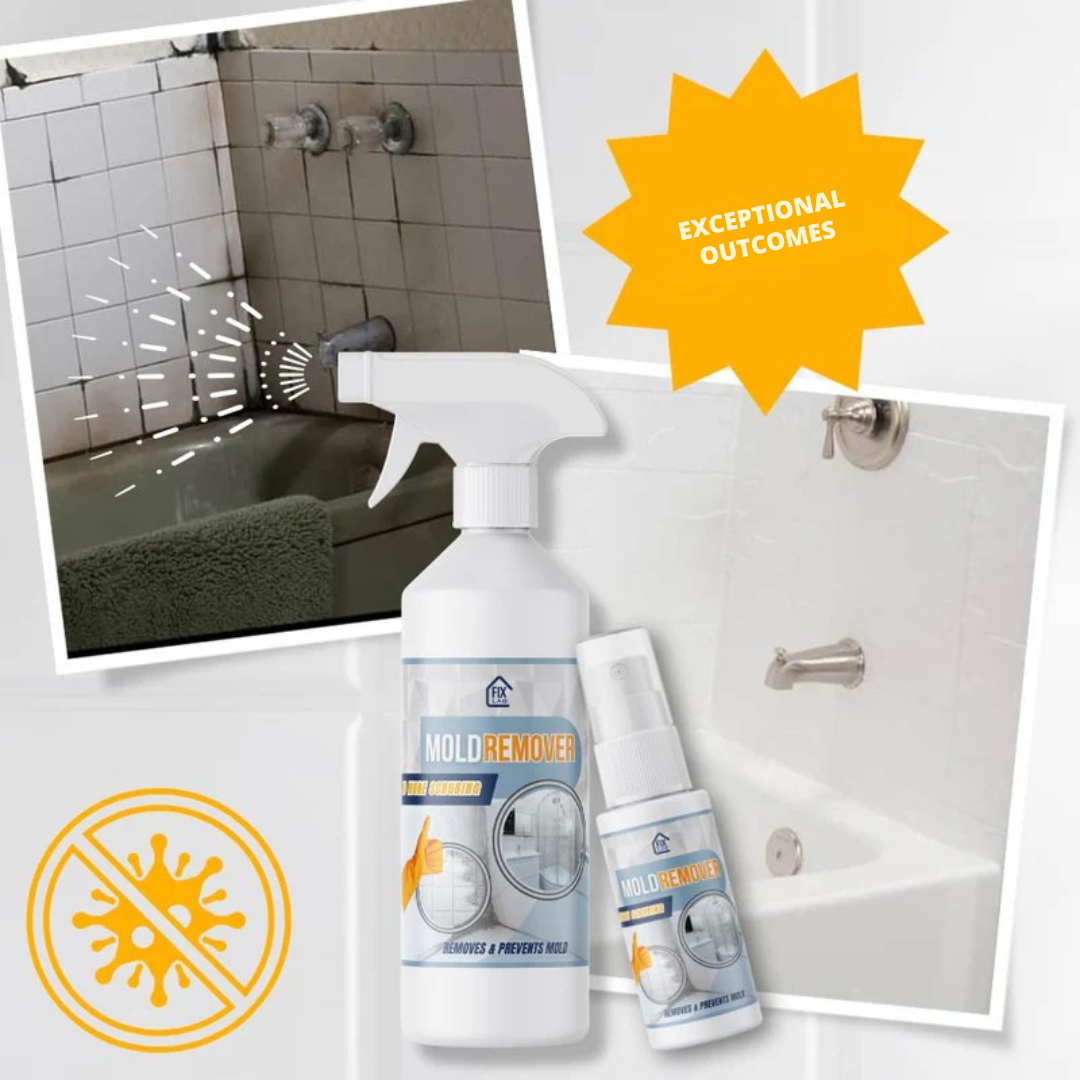 Mold-Free Home Air Quality Solution for Comfortable Breathing - Lamylie