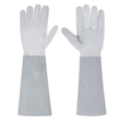 Hand Protection for Pain-Free Handling of Roses - Lamylie