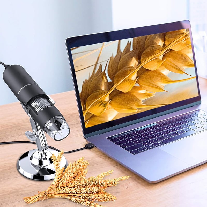 DetailScope – Explorez un monde caché - Lamylie