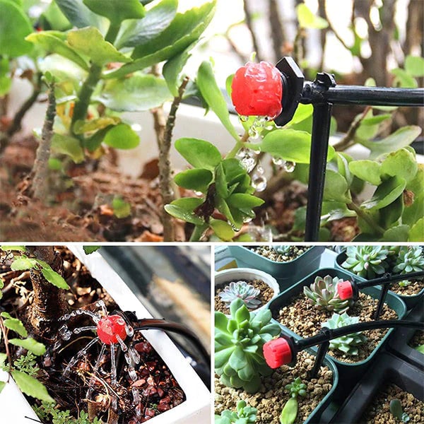 HydroMist – Ideal Plant Moisture for a Lively Garden - Lamylie