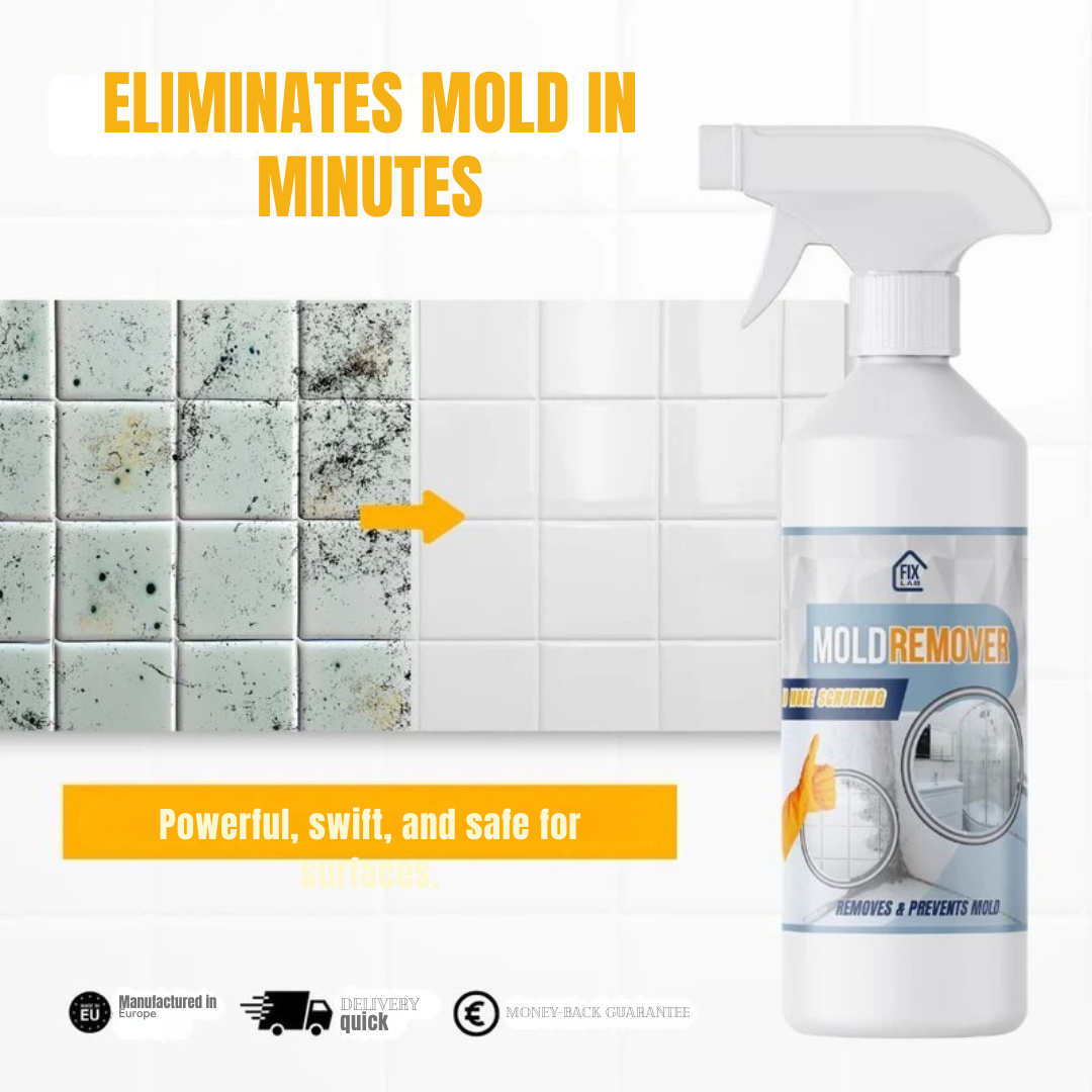 Mold-Free Home Air Quality Solution for Comfortable Breathing - Lamylie