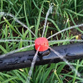 HydroMist – Ideal Plant Moisture for a Lively Garden - Lamylie
