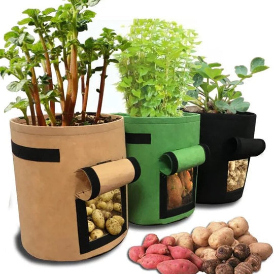 Worek uprawowy | Przepuszczalny materiał nietkany | Klapa do zbiorów z zapięciem na rzep | HarvestBag - Lamylie