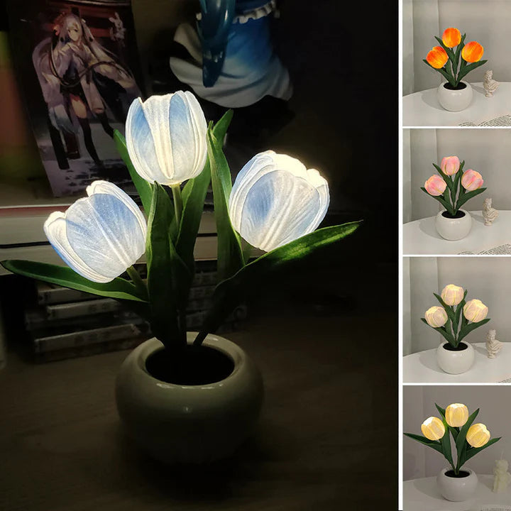 Tulip LED Desk Lamp in Ceramic Vase – Warm Ambient Light - Lamylie