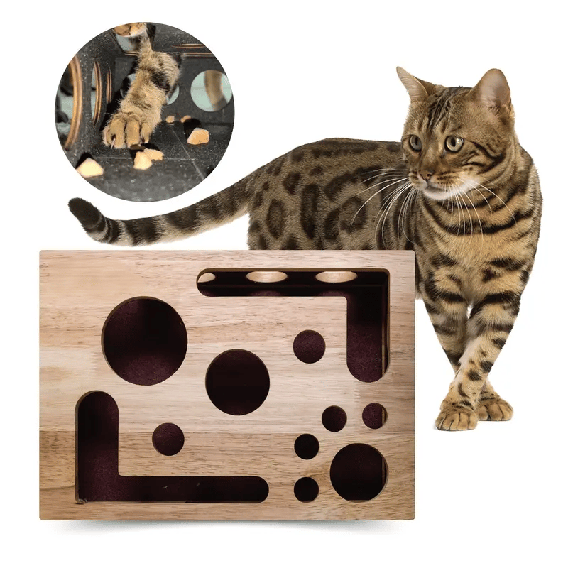 Caja de actividades y rompecabezas para rascar para gatos - Lamylie