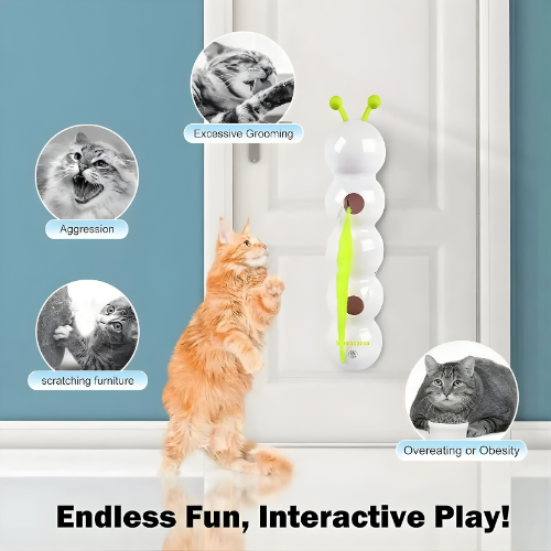 Carnivor — Ignite Your Cat’s Wild Instincts for Non-Stop Play and Sharp Focus - Lamylie