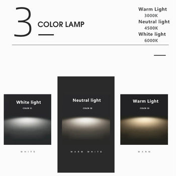 Circular LED Ceiling Lamp - Lamylie