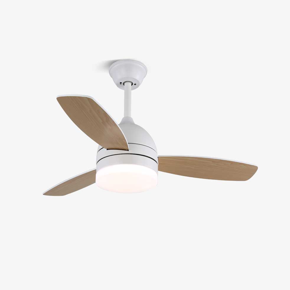 Minimalist Ceiling Fan with Lighting — Selena - Lamylie