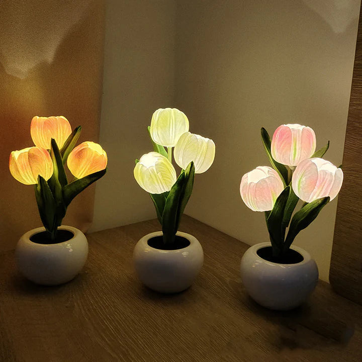 Tulip LED Desk Lamp in Ceramic Vase – Warm Ambient Light - Lamylie