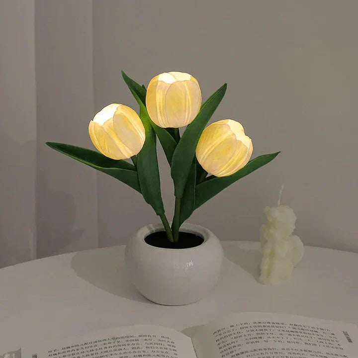 Tulip LED Desk Lamp in Ceramic Vase – Warm Ambient Light - Lamylie
