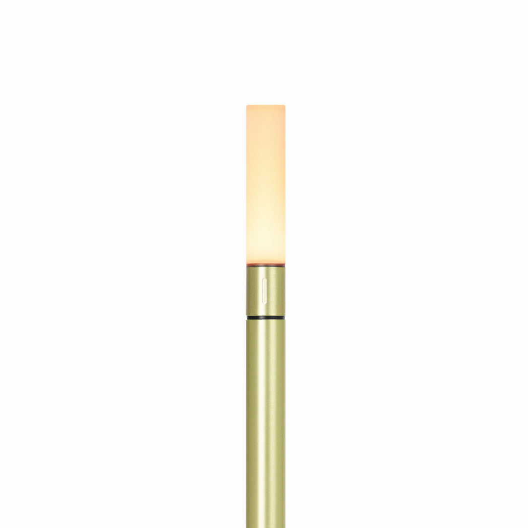 Compact Table Lamp - Lamylie