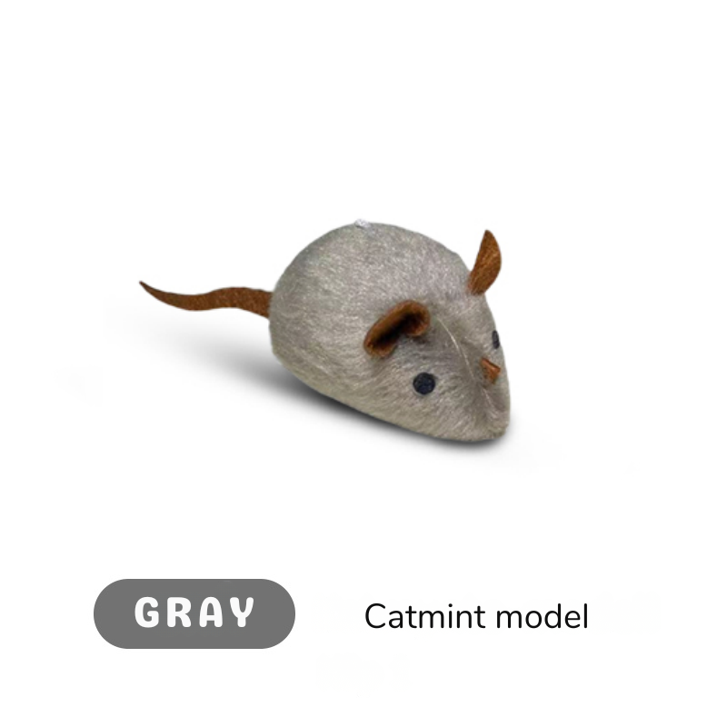 Furrace — Libérez les instincts sauvages de votre chat pour des jeux captivants sans fin - Lamylie