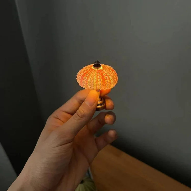 Sea Urchin Evening Lamp - Lamylie