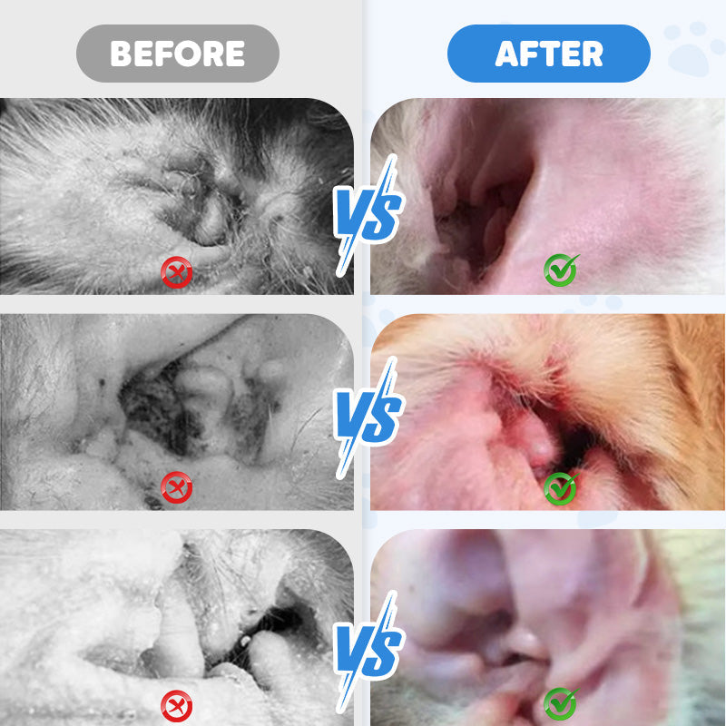 AurisEase — Instantly Soothe Your Pet’s Itchy Ears and Restore Happy, Healthy Comfort - Lamylie