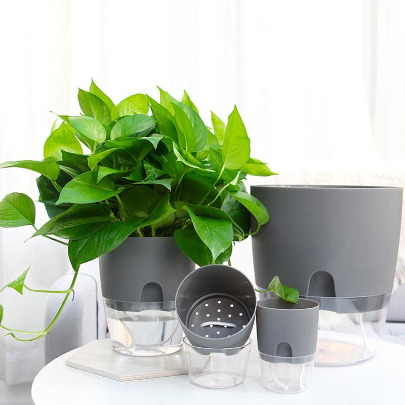 Flower Planter | Self-Irrigating | Clean Watering System | AquaWick - Lamylie
