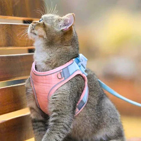 Pettorina confortevole per gatti - stile VeloraPaw - Lamylie