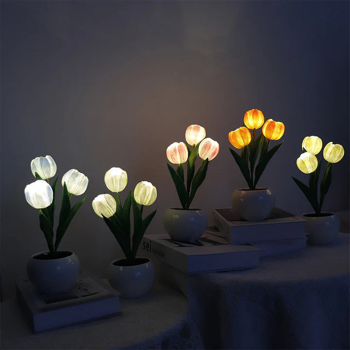 Tulip LED Desk Lamp in Ceramic Vase – Warm Ambient Light - Lamylie