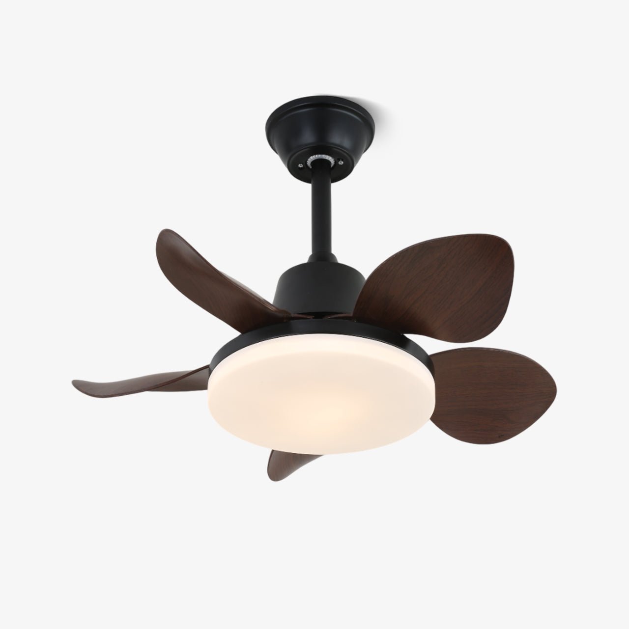 Ventilateur de plafond moderne Veyra avec lampe et 6 vitesses | Diamètre : 71 cm | Télécommande - Lamylie