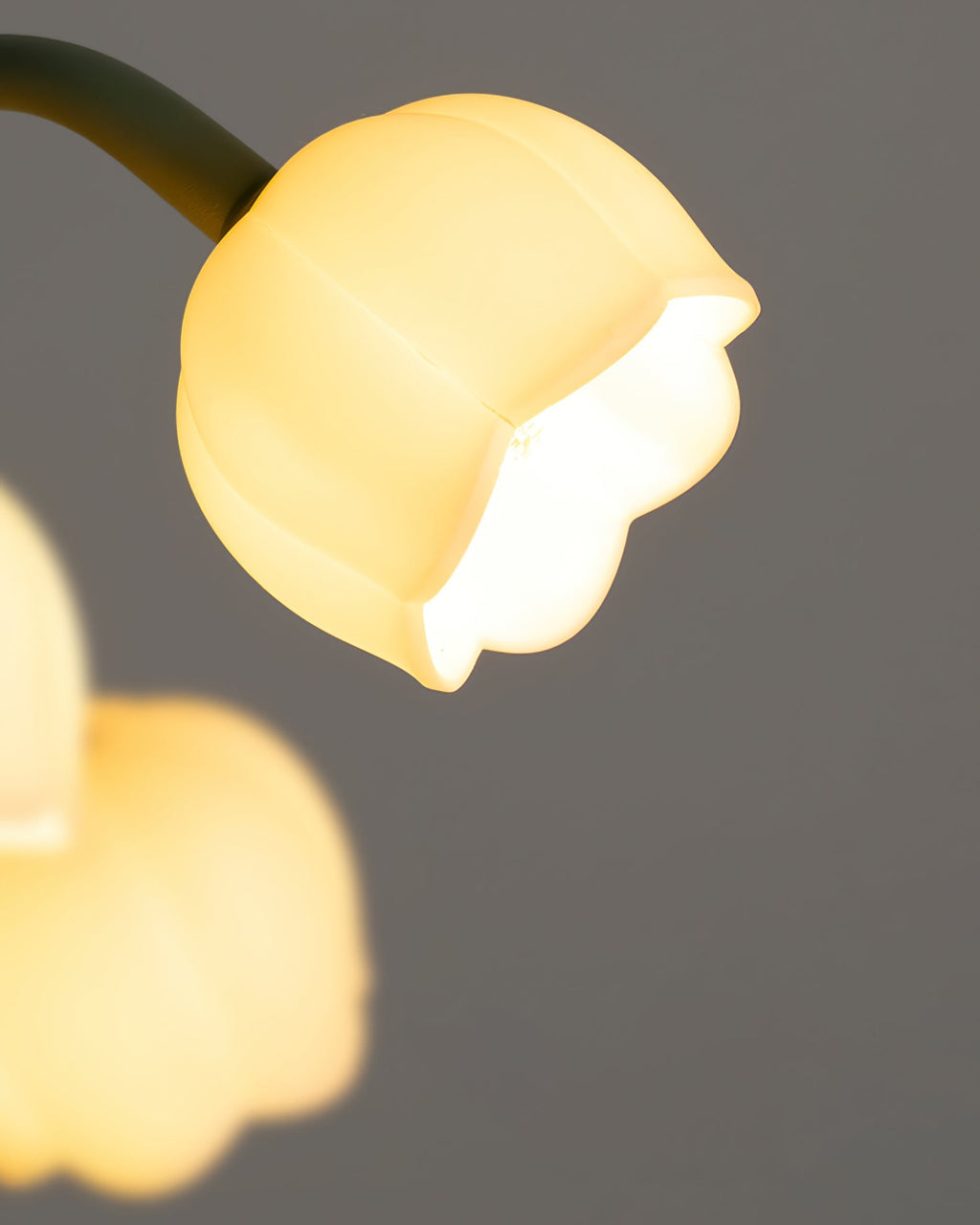 Table lamp with a bell orchid - Lamylie