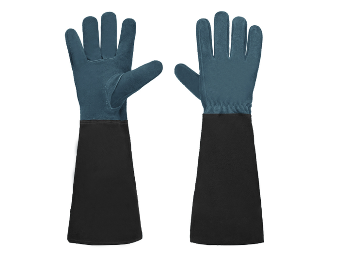 Hand Protection for Pain-Free Handling of Roses - Lamylie